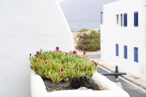 apartamento famara 4