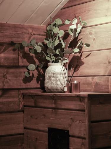 a vase with a plant on a wooden wall at Tømmerhus i Geiranger Sentrum med panorama utsikt in Geiranger
