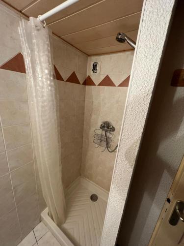 une douche avec un rideau de douche dans une salle de bain dans l'établissement Charmant Duplex Pied De Pistes, à Briançon