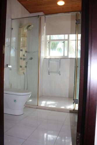 a bathroom with a shower and a toilet and a tub at Phil Garden Homestay in Dongshan