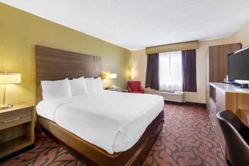 a hotel room with a large bed and a television at Best Western Rochester Marketplace Inn in Rochester