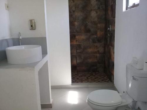 a bathroom with a shower and a toilet and a sink at Baleia Azul - House 7A in Ponta Mamoli