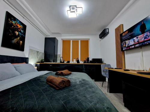 a bedroom with a large bed and a desk at Modern Studio 2 in Onești