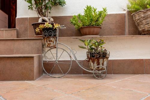 a bike with potted plants sitting next to steps at Antica Dimora Marinelli in Ficarra