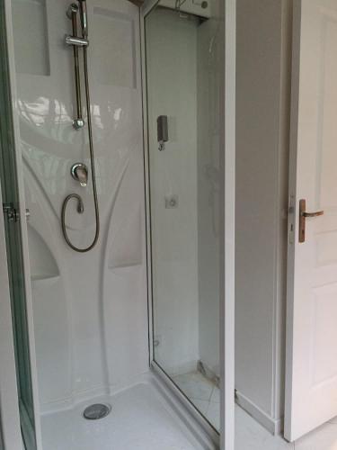 une douche avec une porte vitrée dans une salle de bain dans l'établissement Studio Dauphiné, à Nice