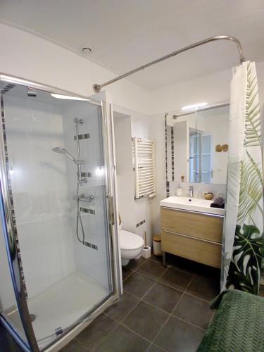 ein Badezimmer mit Dusche, Toilette und Waschbecken in der Unterkunft Appart paisible, propre et accueillant in Pers-Jussy