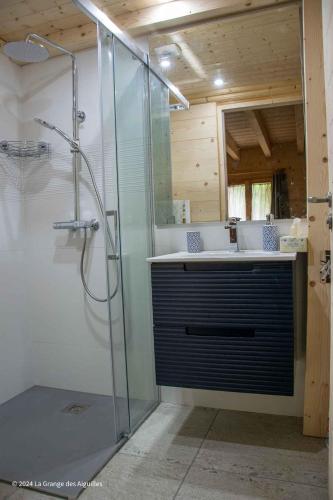 une salle de bain avec une douche en verre et un lavabo dans l'établissement La Grange des Aiguilles, à Albiez-le-Jeune