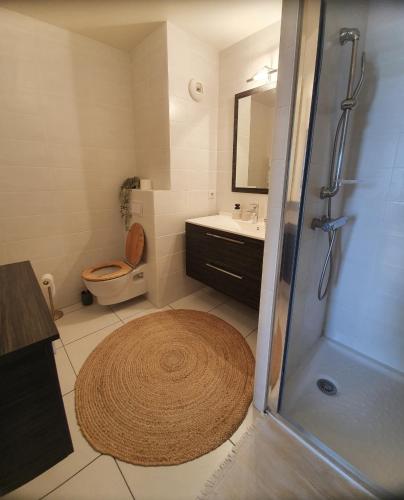 une salle de bain avec toilettes, lavabo et douche dans l'établissement Appartement T2 à 3min de la plage, à Palavas-les-Flots