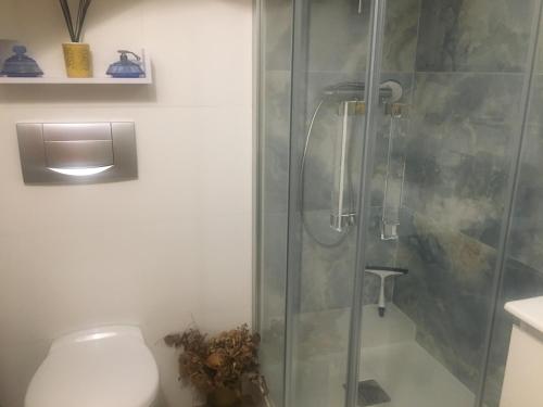 une douche avec une porte vitrée dans une salle de bain dans l'établissement LE ROSSIGNOL, à Cranves-Sales