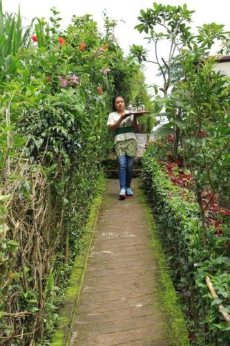 Κήπος έξω από το Munduk Garden