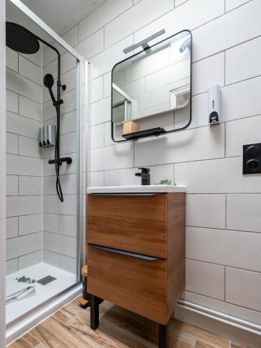 une salle de bain avec un lavabo et un miroir dans l'établissement La petite Rosée - Vienna authentica, à Vienne