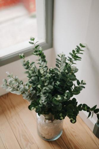 a plant in a vase sitting on a table at La Demeure de la Cité by Jean Bacou in Carcassonne