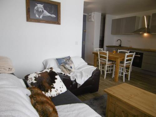 - deux chiens assis sur un canapé dans le salon dans l'établissement Appart cosy au pied des pistes, balcon, casier à skis - FR-1-355-197, à Les Allues