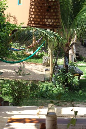 a garden with a palm tree and a hose at Mangará Pousada in Praia de Moitas