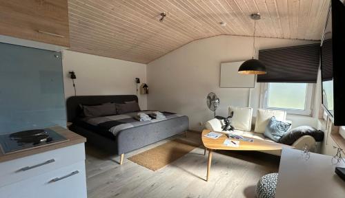 a living room with a bed and a table at Sommerhäuschen in Rheinsberg