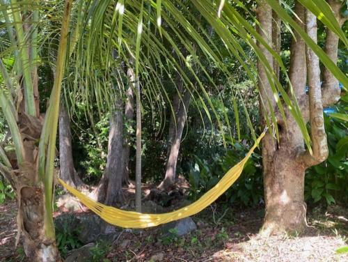 a yellow hammock hanging between two palm trees at Villa Coco Caraïbes in Deshaies