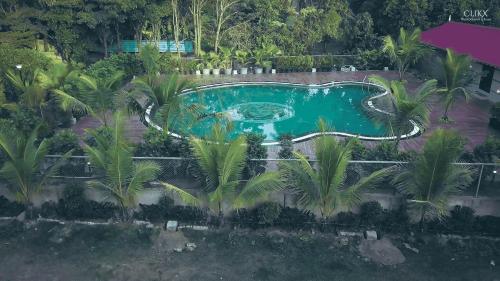 an overhead view of a swimming pool with palm trees at Hotel Royal Retreat in Sambalpur