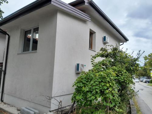 ホームステイが所在する建物