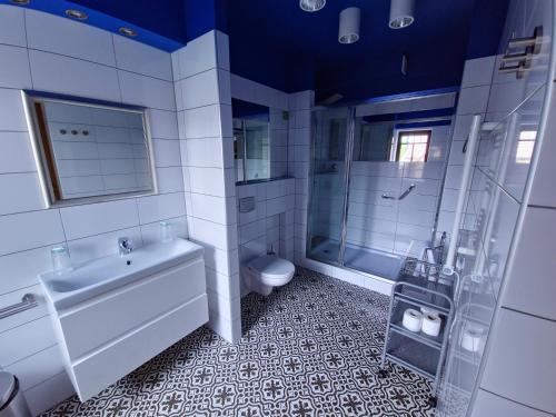 a bathroom with a toilet and a sink and a shower at Jasny Dwór in Polanica-Zdrój
