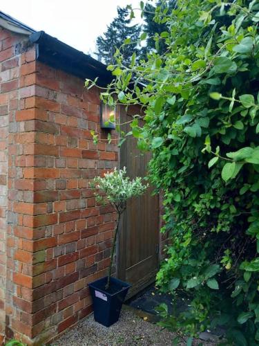 a plant in a pot next to a brick wall at The Nook- Cotswold guest room in Mickleton