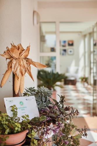 a plant on a table with a sign on it at Agriturismo Zapparè Farm Hotel in Trevignano
