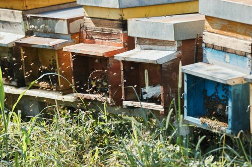 a group of beehives stacked on top of each other at Agriturismo Zapparè Farm Hotel in Trevignano