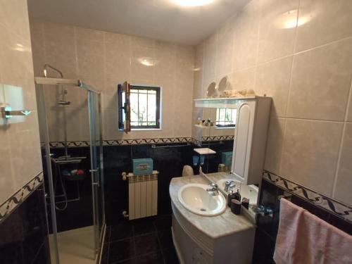 a bathroom with a sink and a shower at Casa Fatinha in Amarante