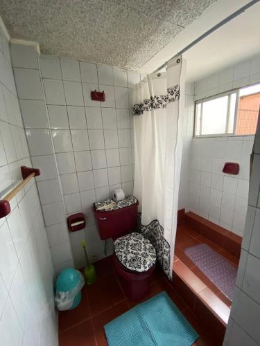 a small bathroom with a shower and a toilet at BahiaCaracoles Apart in Antofagasta