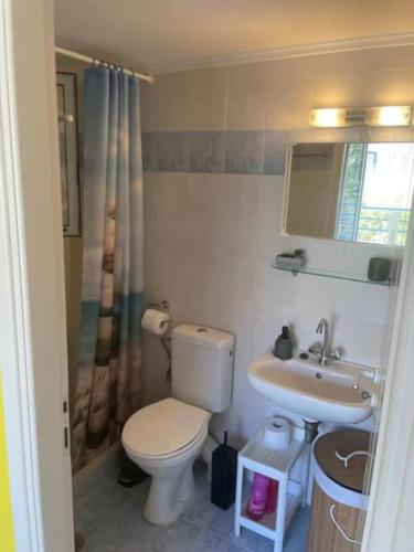 a bathroom with a toilet and a sink at Stelios apartment 1 in Chios