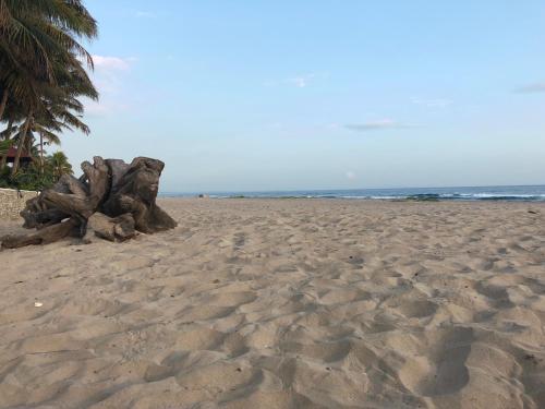 a couple of logs sitting on a sandy beach at Villas Julie in Tela