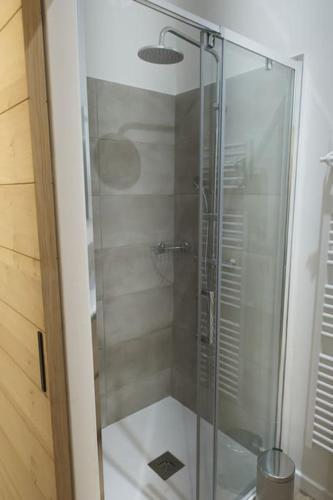 une douche avec une porte vitrée dans une salle de bain dans l'établissement THE COSY HOME Centre ville Parking Clim, à Valence