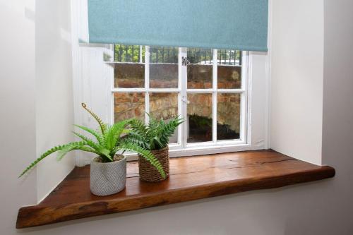 a window with two plants on a wooden window sill at Abbey Foregate in Shrewsbury