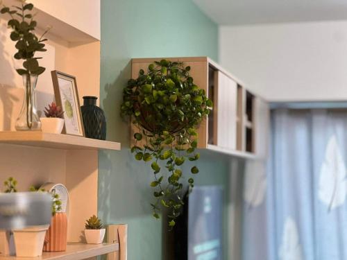 a room with a plant hanging from a wall at Casa de Teresa in Manila