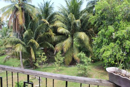 a wooden fence in front of some palm trees at CAJOMA Villa in San Ignacio