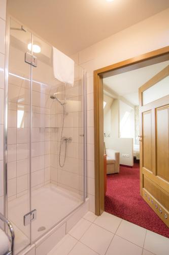 a bathroom with a shower and a glass door at Zajazd Biskupi in Racibórz