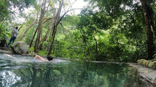 a man swimming in a pool of water in a forest at Casa Morella in Monteverde Costa Rica