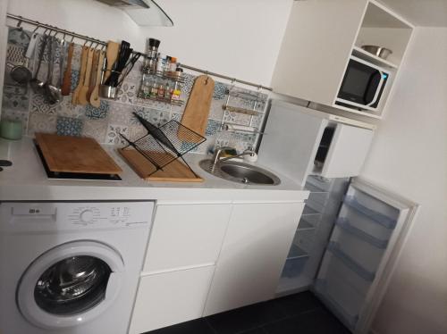 a kitchen with a washing machine and a sink at L'Antre 2 Eaux in Port Leucate