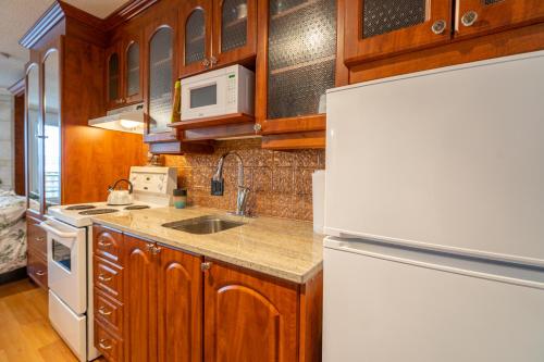 Dapur atau dapur kecil di Au p'tit cocon sur le lac