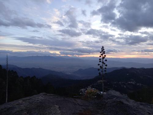 Příroda nedaleko kempu