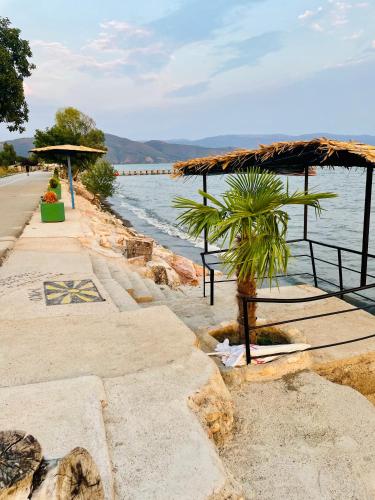 a palm tree sitting next to the water at Elkos Apartment in Struga