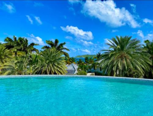 a large swimming pool with palm trees in the background at Antigua 3-bedroom Villa at Nonsuch Bay in The Brook