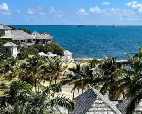 an aerial view of a beach with palm trees at Antigua 3-bedroom Villa at Nonsuch Bay in The Brook