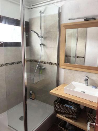 une salle de bain avec douche et lavabo dans l'établissement Chalet Blanc - Grand chalet 10 couchages à Vars MAE-9781, à Vars