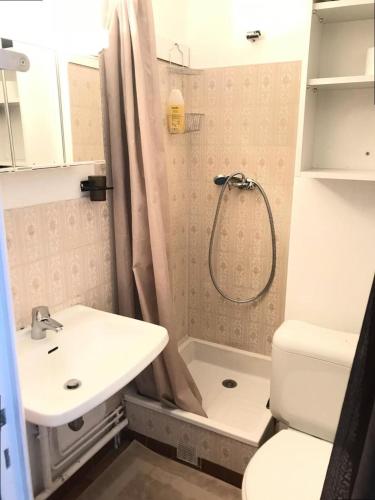 une salle de bain avec un lavabo, des toilettes et une douche dans l'établissement Résidence Centre Vars - APPART CONFORT CENTRE VARS CENTRE STATION MAE-9901, à Vars