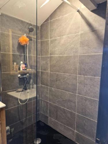 une douche avec une porte vitrée dans une salle de bain dans l'établissement Résidence Grizzli - Magnifique T2 6 couchages au centre de VARS MAE-0121, à Vars