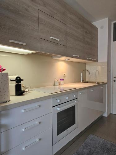 Kuchyňa alebo kuchynka v ubytovaní Joop Apartment