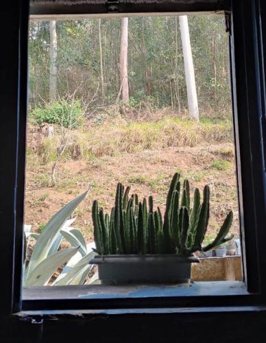 a cactus sitting on a window sill in front of a window at Casa colonial em Itù - Sorocaba in Mairinque