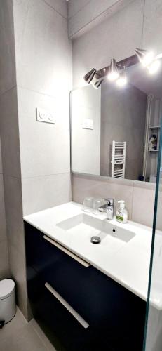 une salle de bain avec un lavabo et un miroir dans l'établissement Boulogne, Near Roland Garros, à Boulogne-Billancourt