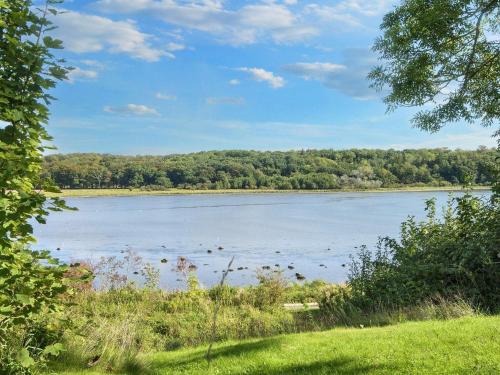 a lake with a bunch of ducks in the water at 4 star holiday home in Rønde-By Traum in Rønde