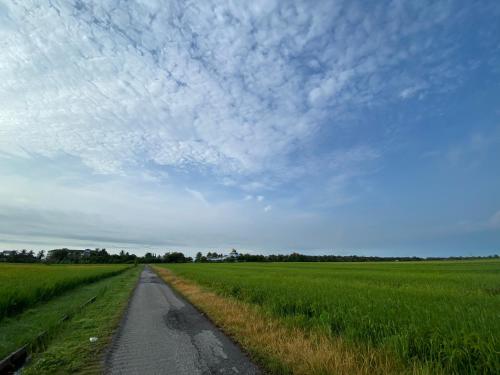 別荘の近くで見られる自然の景観
